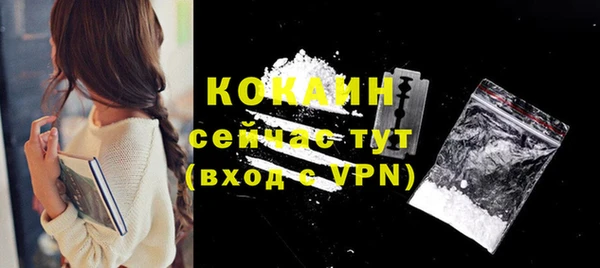 стаф Белокуриха