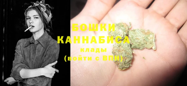 стаф Белокуриха