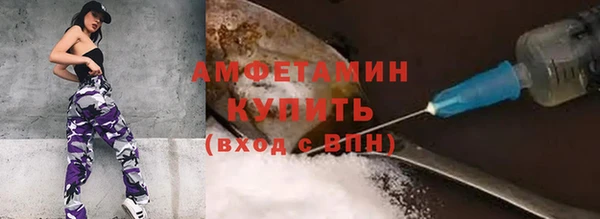 стаф Белокуриха