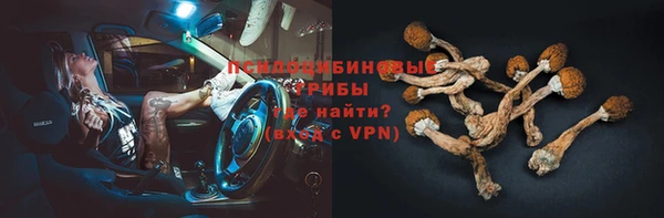 соль ск Беломорск
