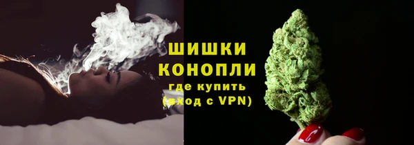 стаф Белокуриха