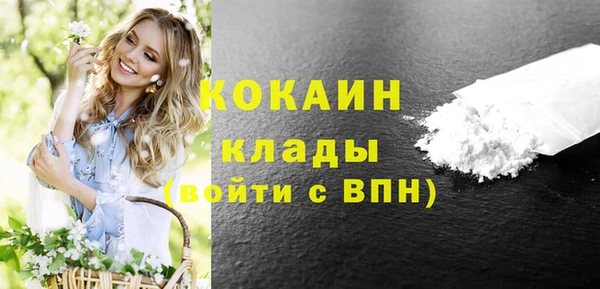 стаф Белокуриха